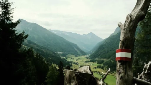 Image of Austrian alndscape with flag. Austria moving forward an open online gambling market