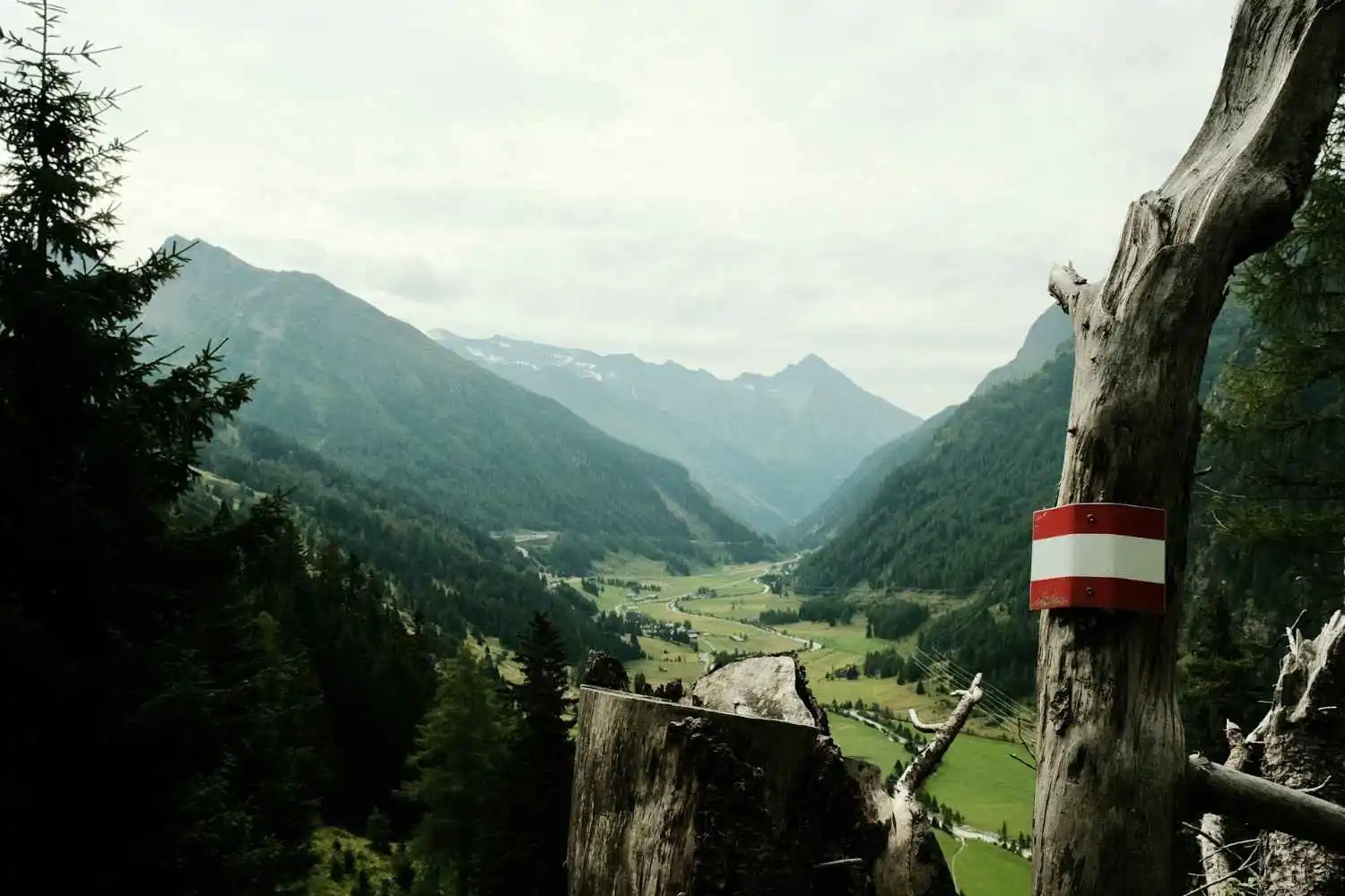 Image of Austrian alndscape with flag. Austria moving forward an open online gambling market